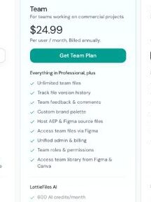 LottieFiles Team plan Pricing