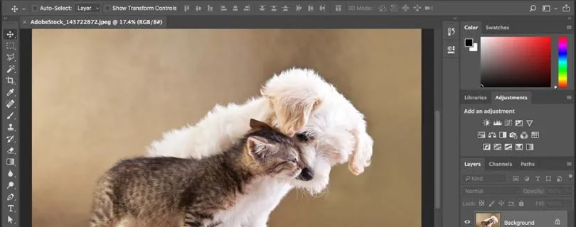Photoshop