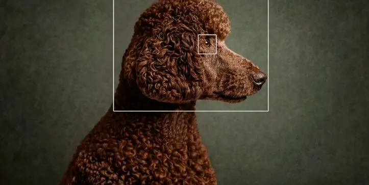 Localized Image Editing in Reve 2.0